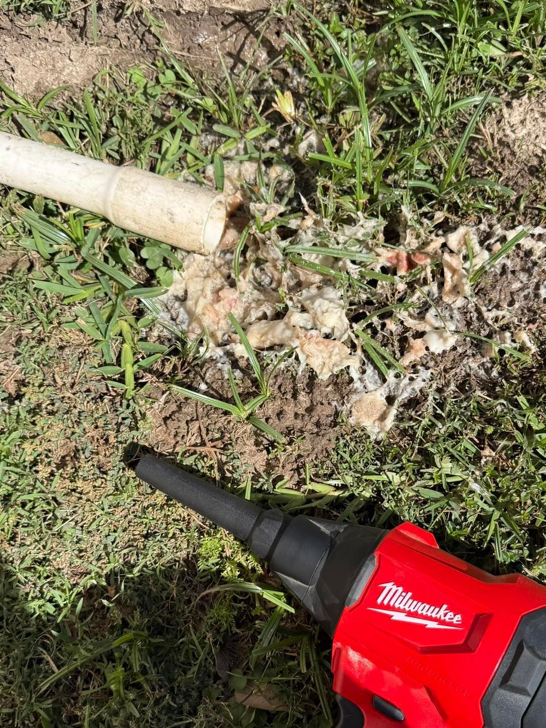 White pipe leaking foamy substance on grass, red Milwaukee tool in foreground.