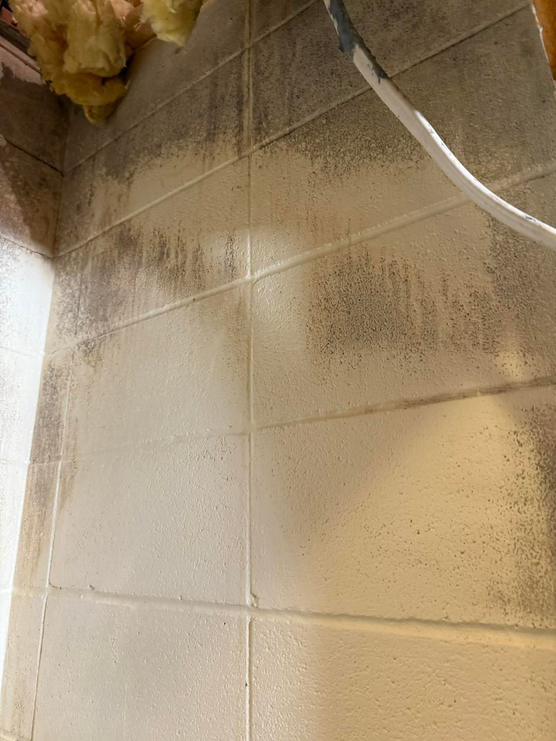 Concrete block wall with dark mold.