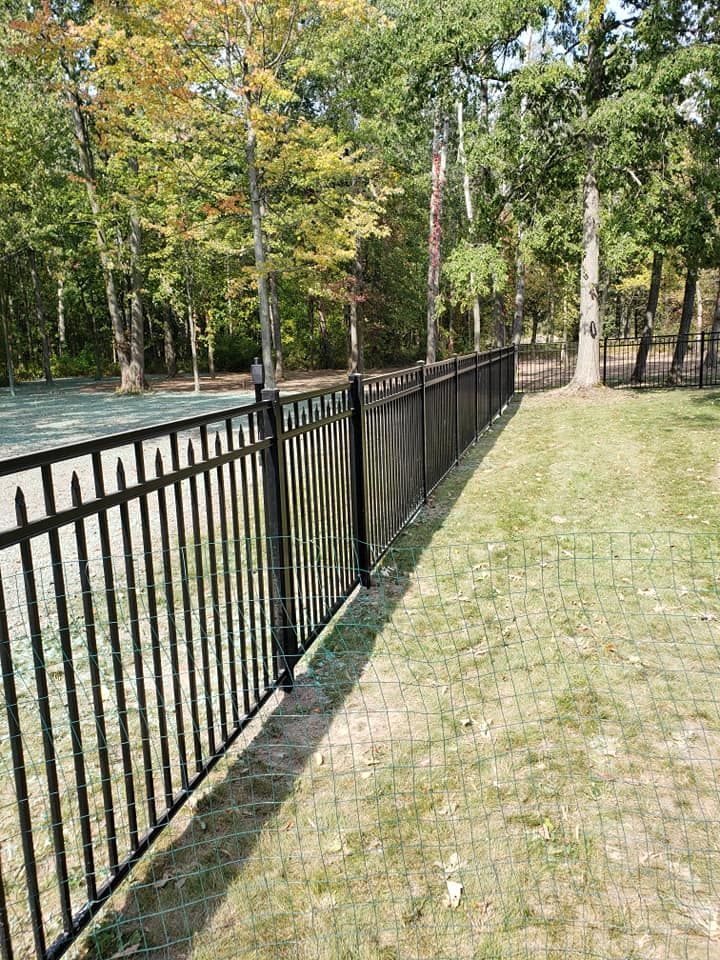 Black metal fence along a grassy path beside a tree-lined road in a park