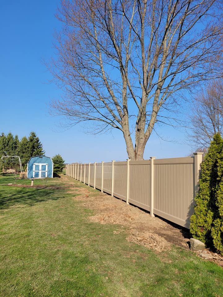 Backyard with tan privacy fence, tall leafless tree, blue shed, and green lawn under a clear sky