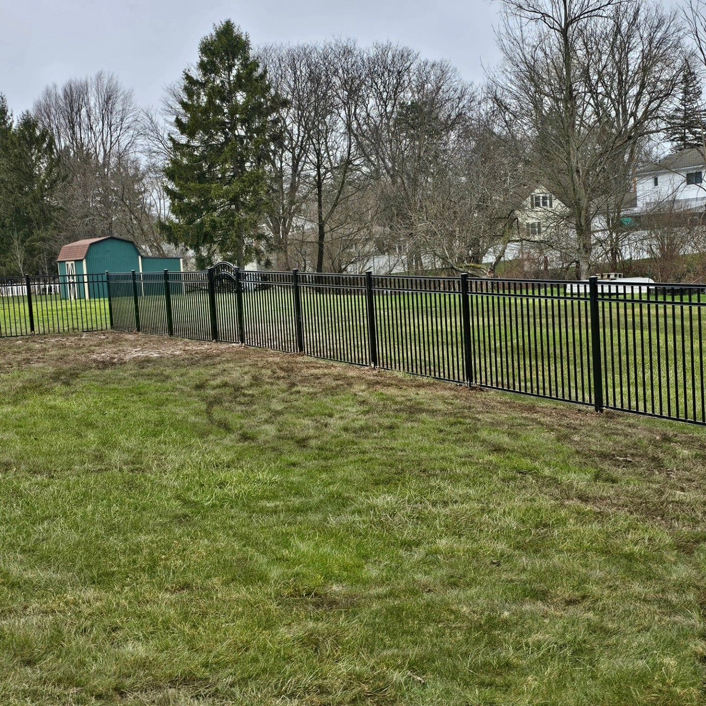 Grassy yard with a black metal fence, leafless trees, and a green shed under an overcast sky