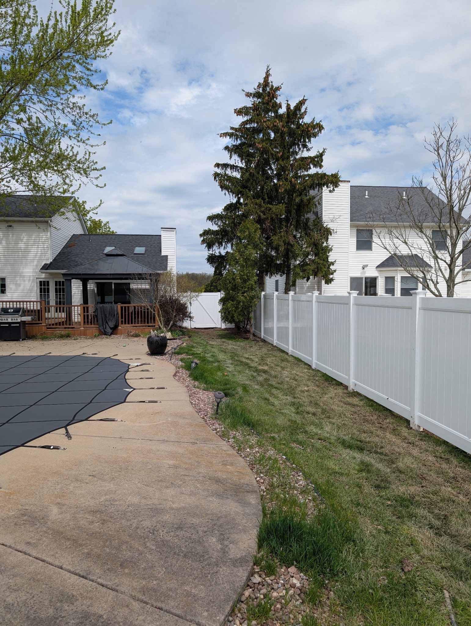 Backyard walkway beside a white fence, with houses and a tall evergreen tree in the distance