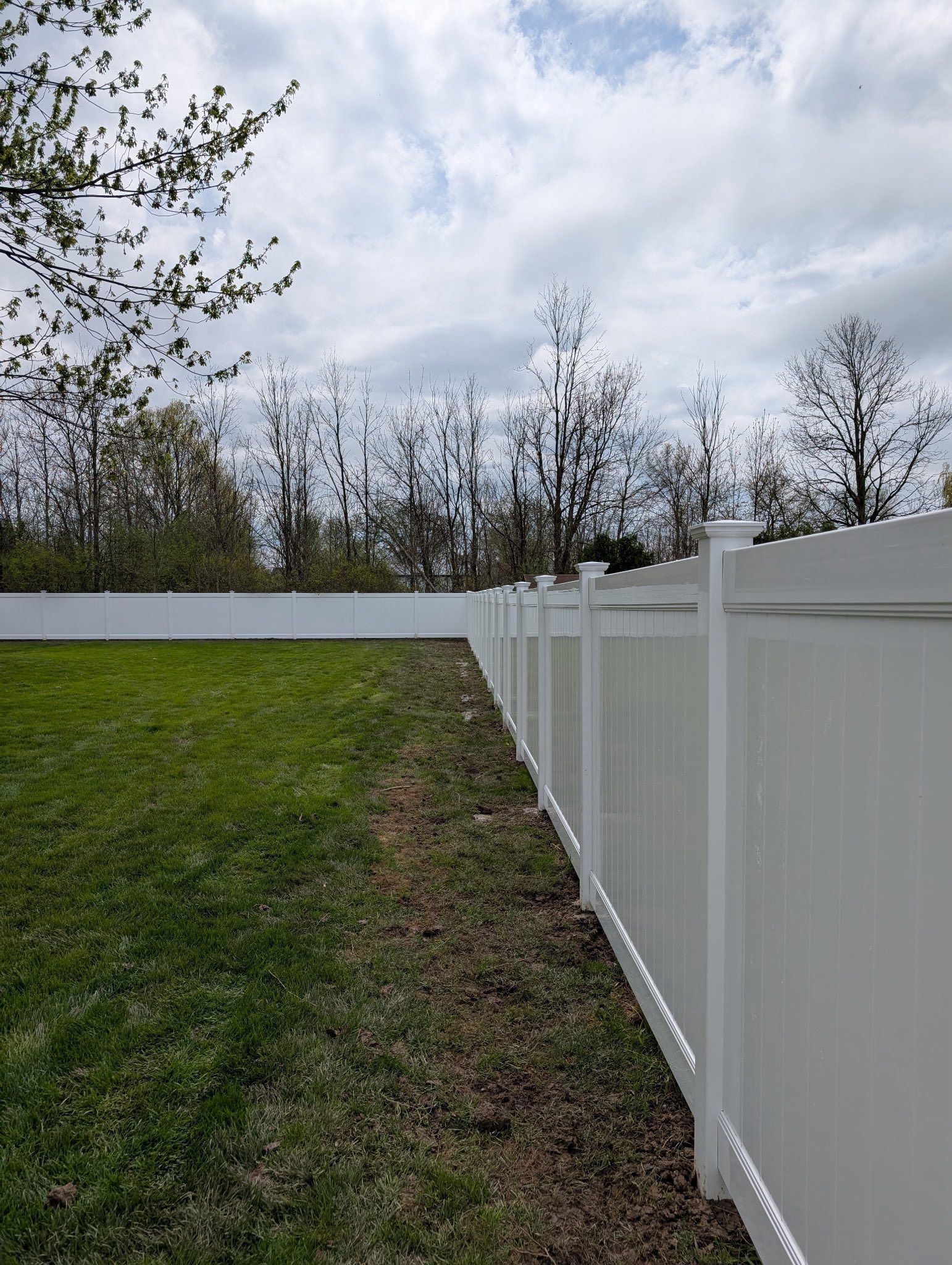 White vinyl fence along a grassy yard beside leafless trees under a cloudy sky.