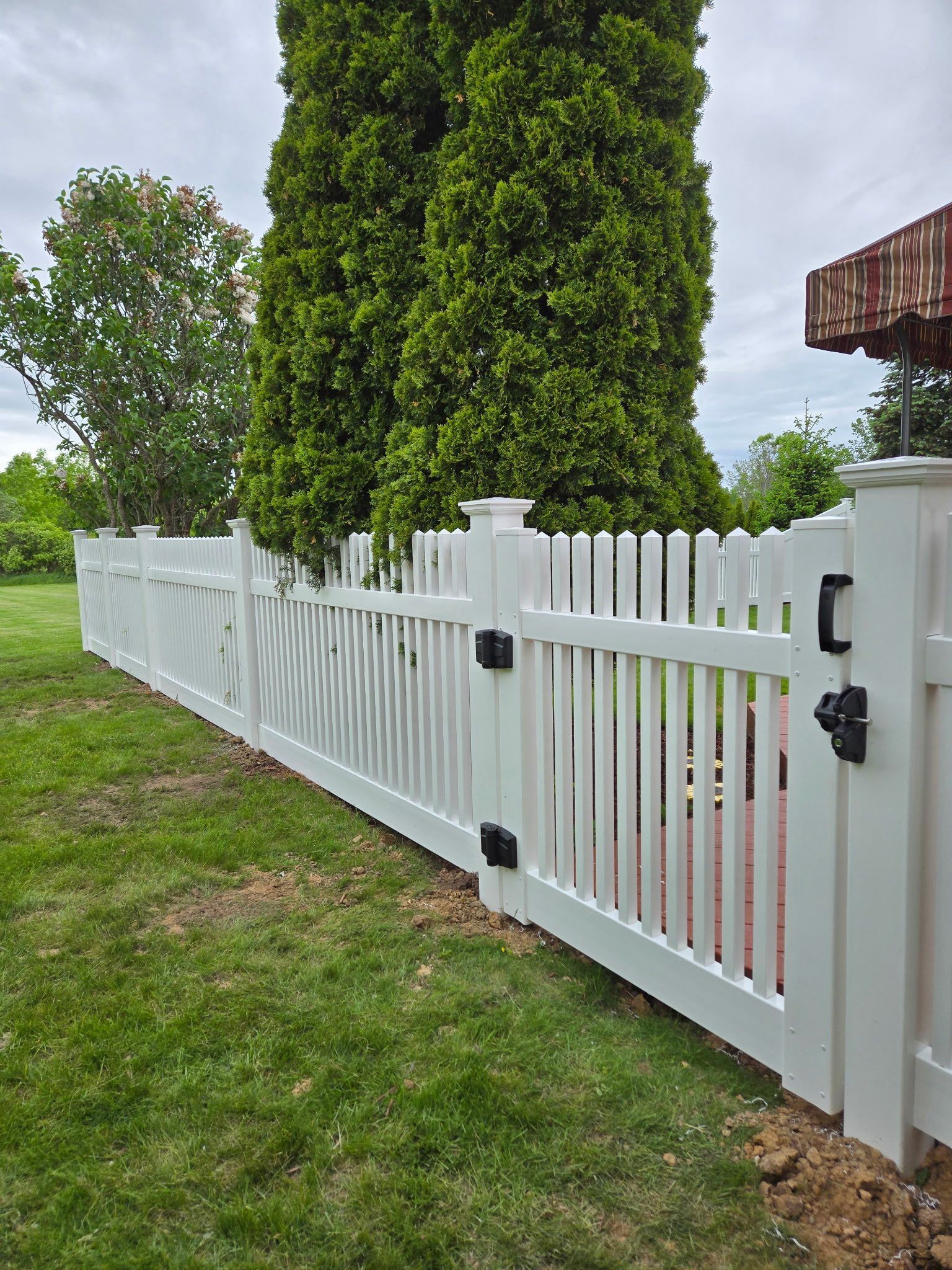 White picket fence with gate in a grassy yard beside a tree under a cloudy sky