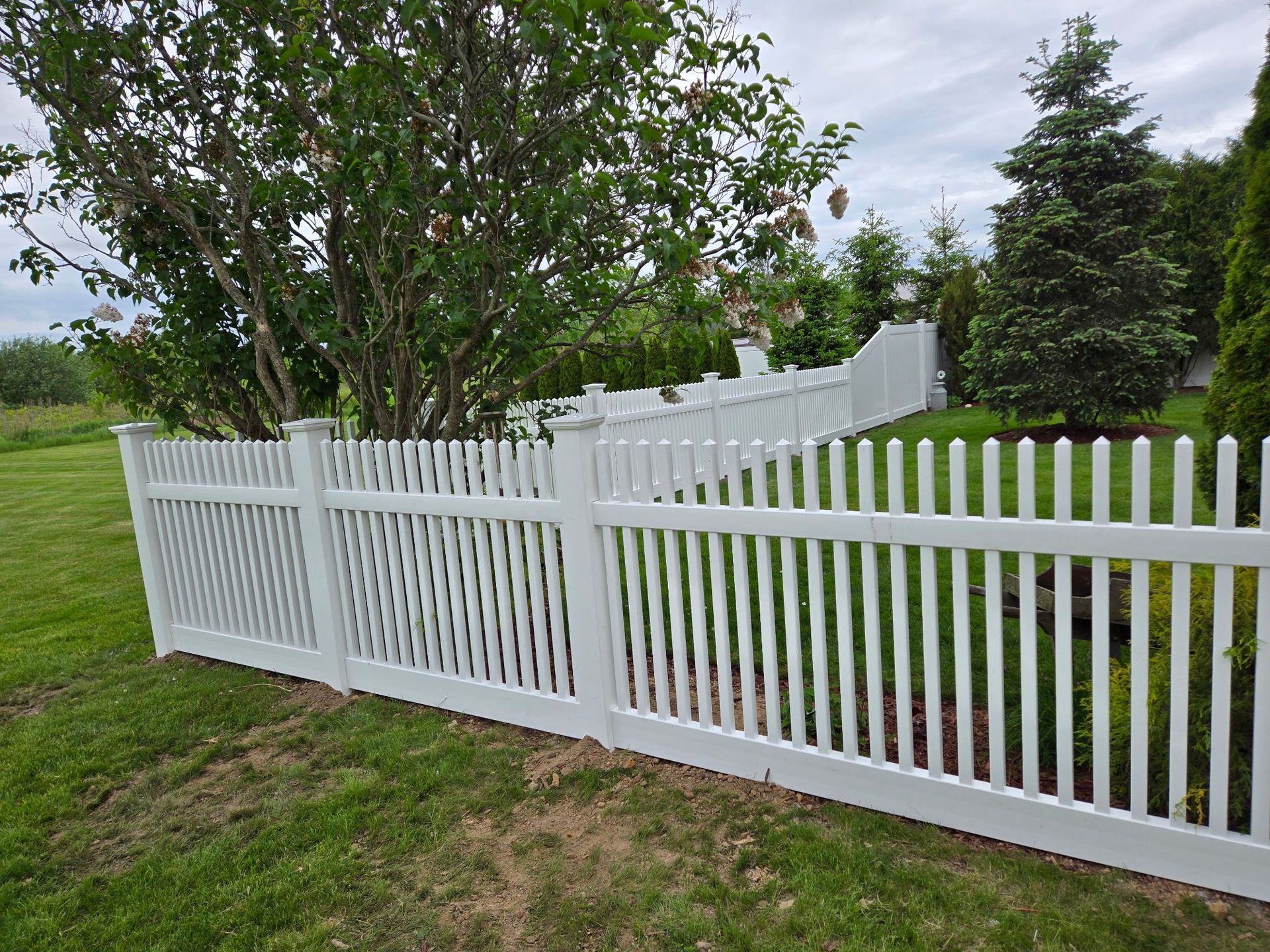 White vinyl fence with a gate along a grassy yard beside trees and shrubs