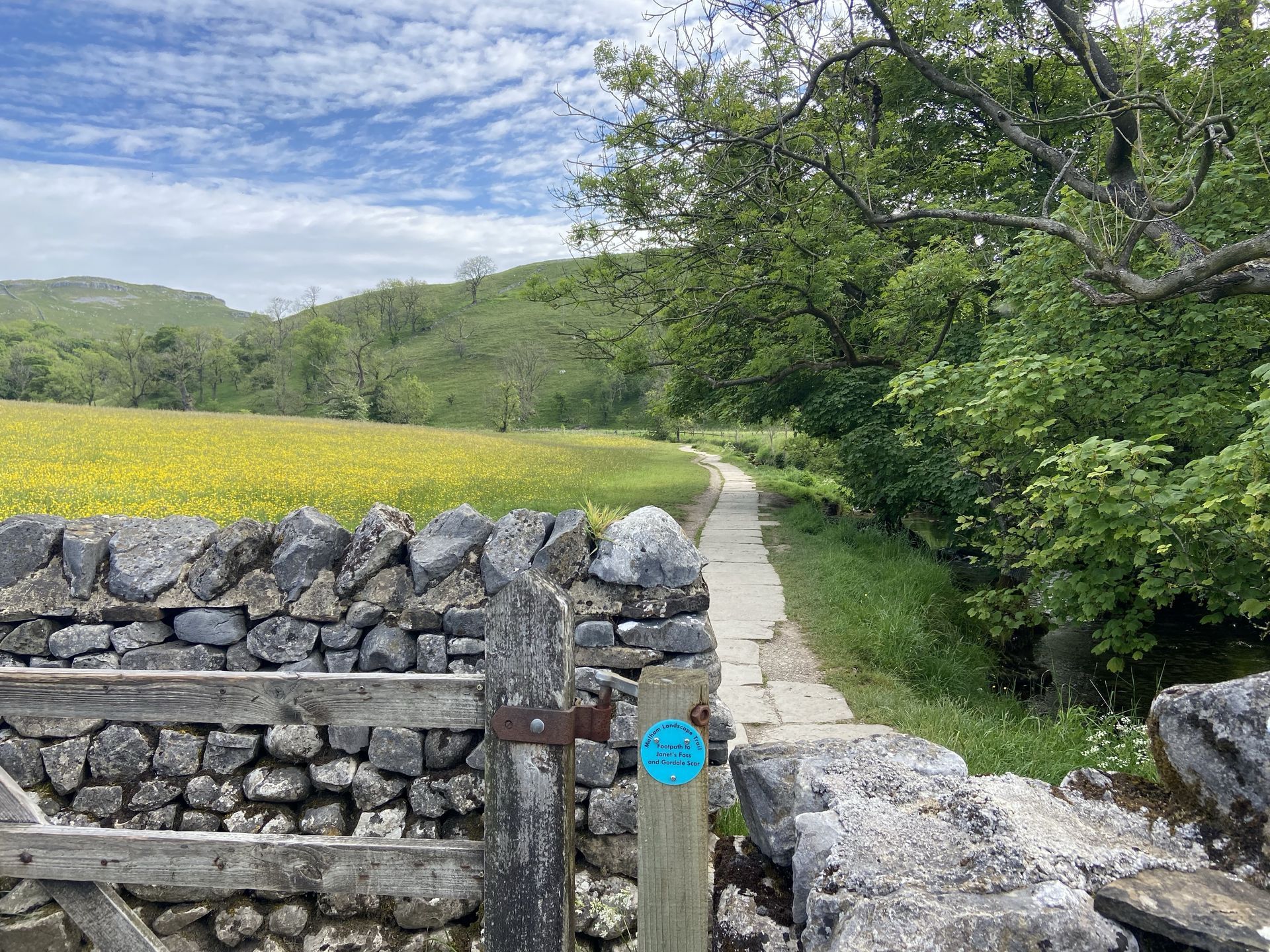 A stone wall and wooden gate open to a narrow stone path winding past a field of yellow flowers and trees.