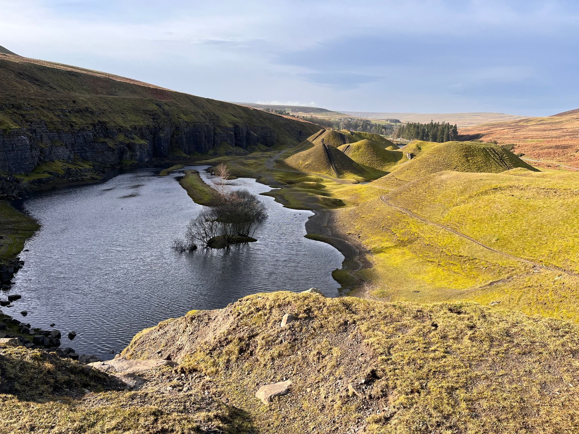 A scenic landscape with a small lake, a lone tree, and grassy, undulating hills under a bright sky.