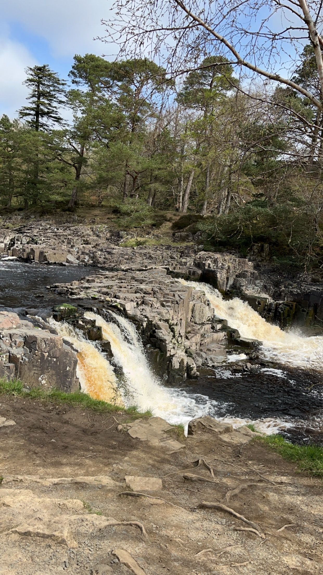 A waterfall flows over rugged, dark rocks surrounded by green trees under a bright sky.