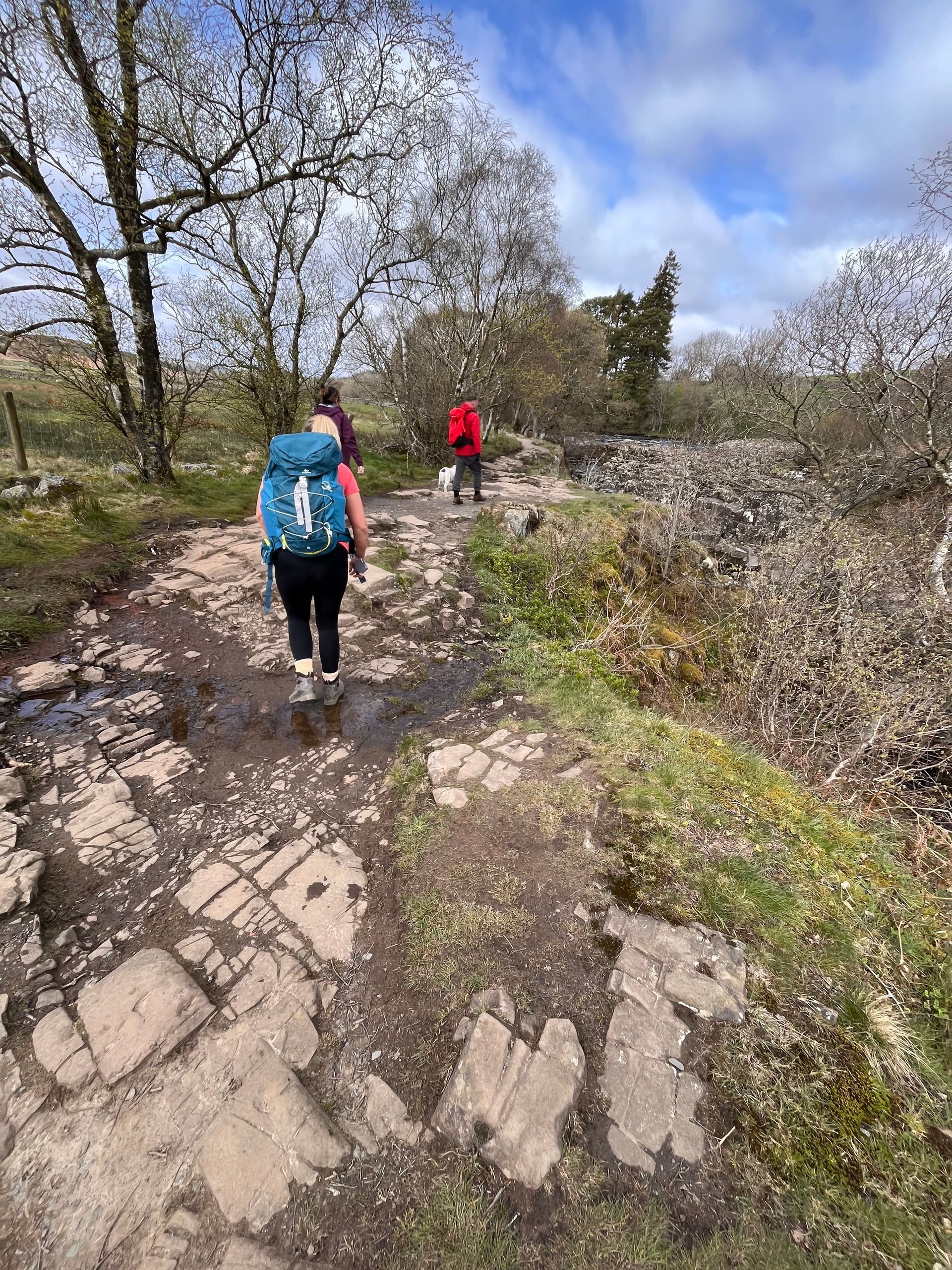 Three people hiking along a rocky, muddy trail through a wooded area on a partially cloudy day.