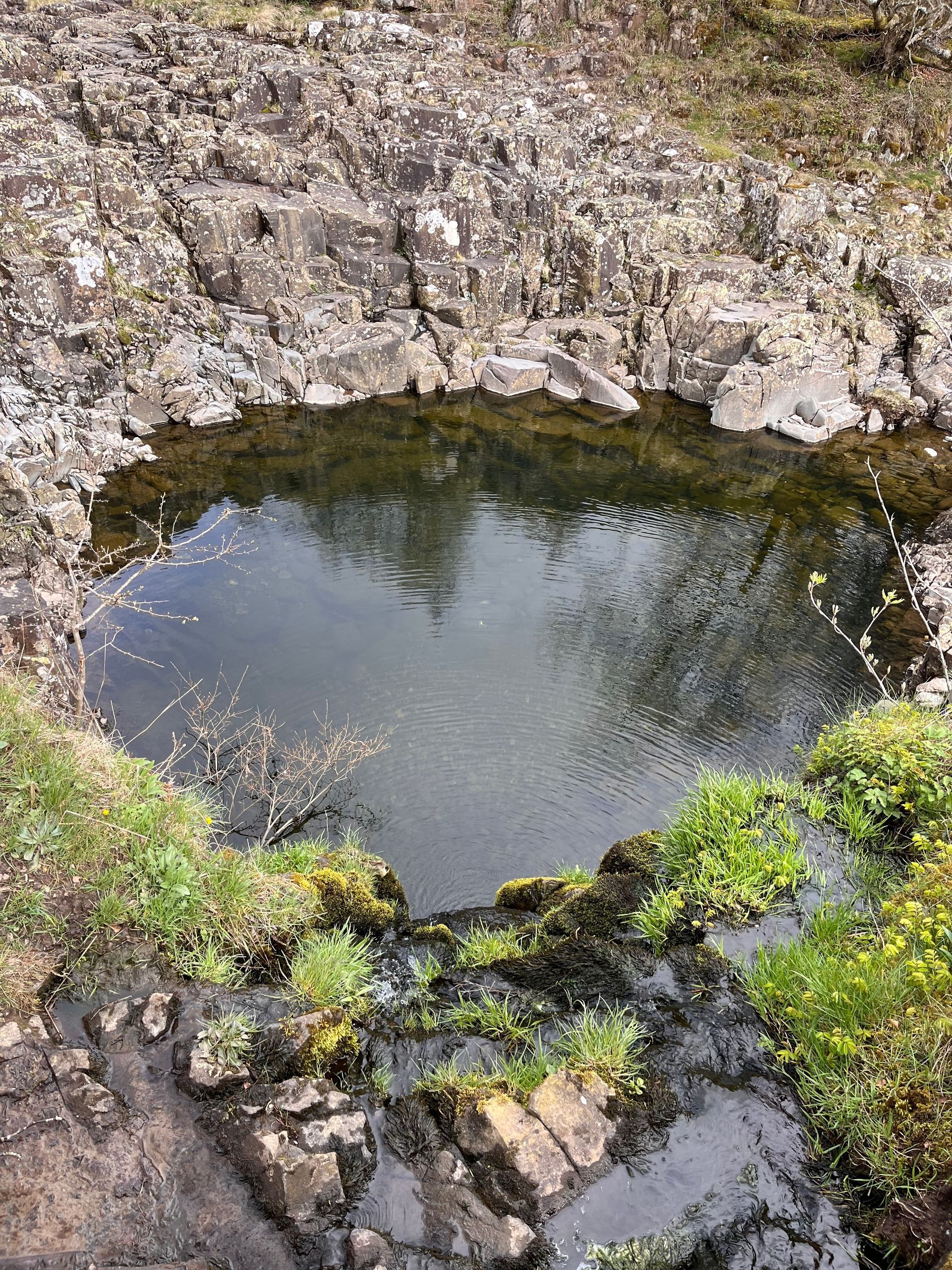 A small, circular, dark pool of water set into a rocky, mossy outcrop in a natural, wooded landscape.