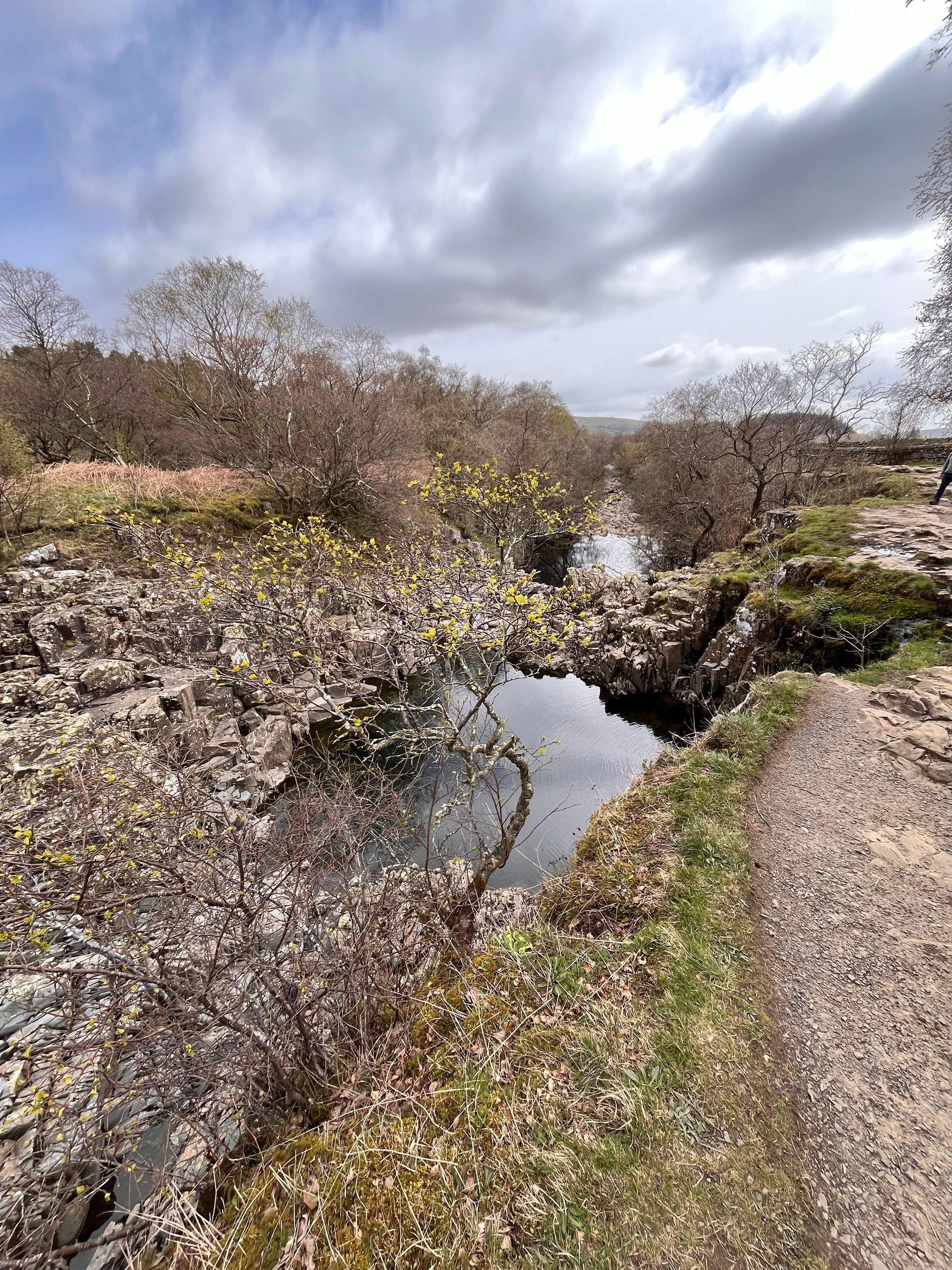 A narrow stream flows through a rocky, brush-filled landscape under a cloudy sky.