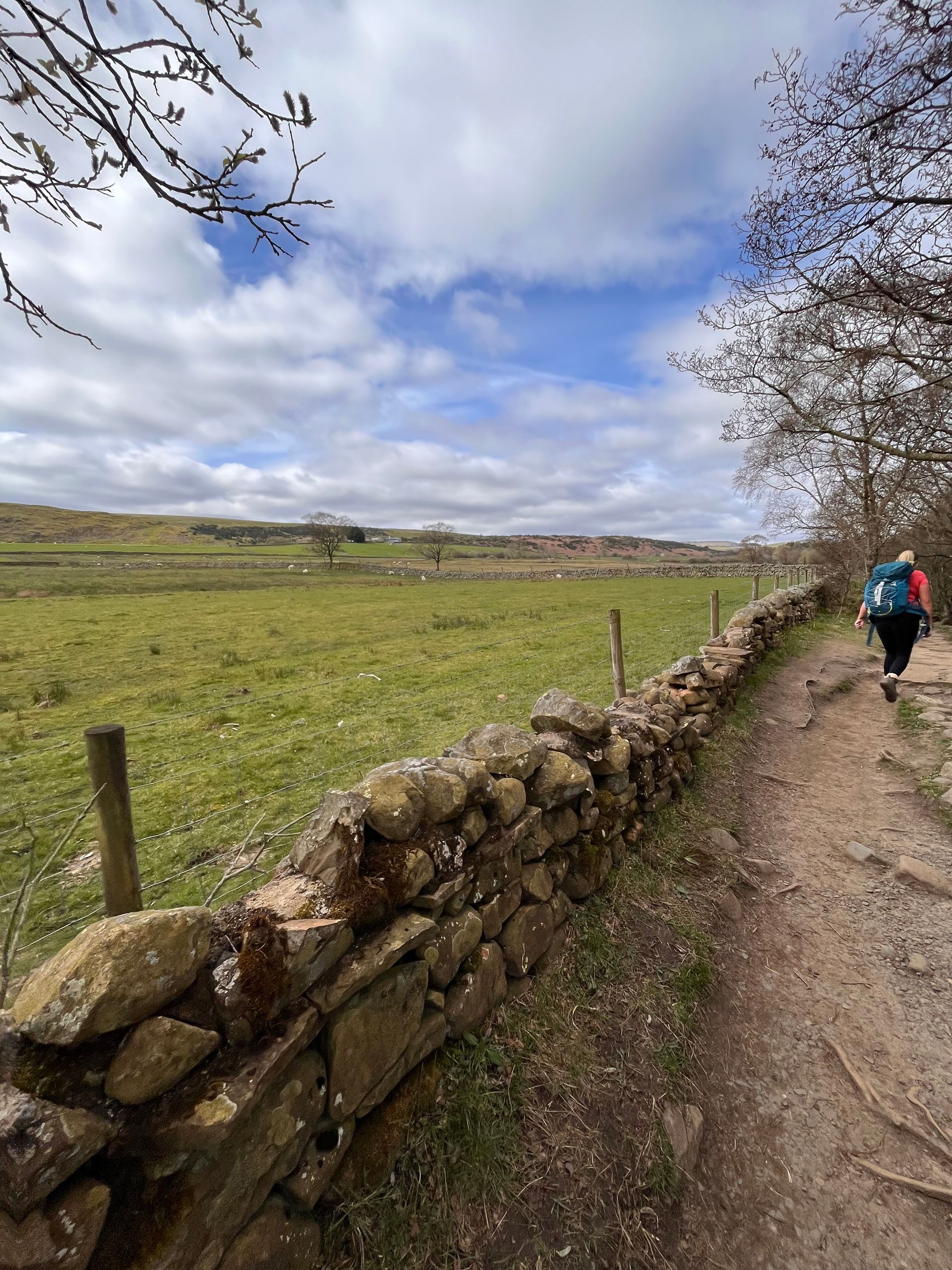 A hiker with a blue backpack walks along a dirt trail beside a rustic stone wall in a green meadow under a cloudy sky.