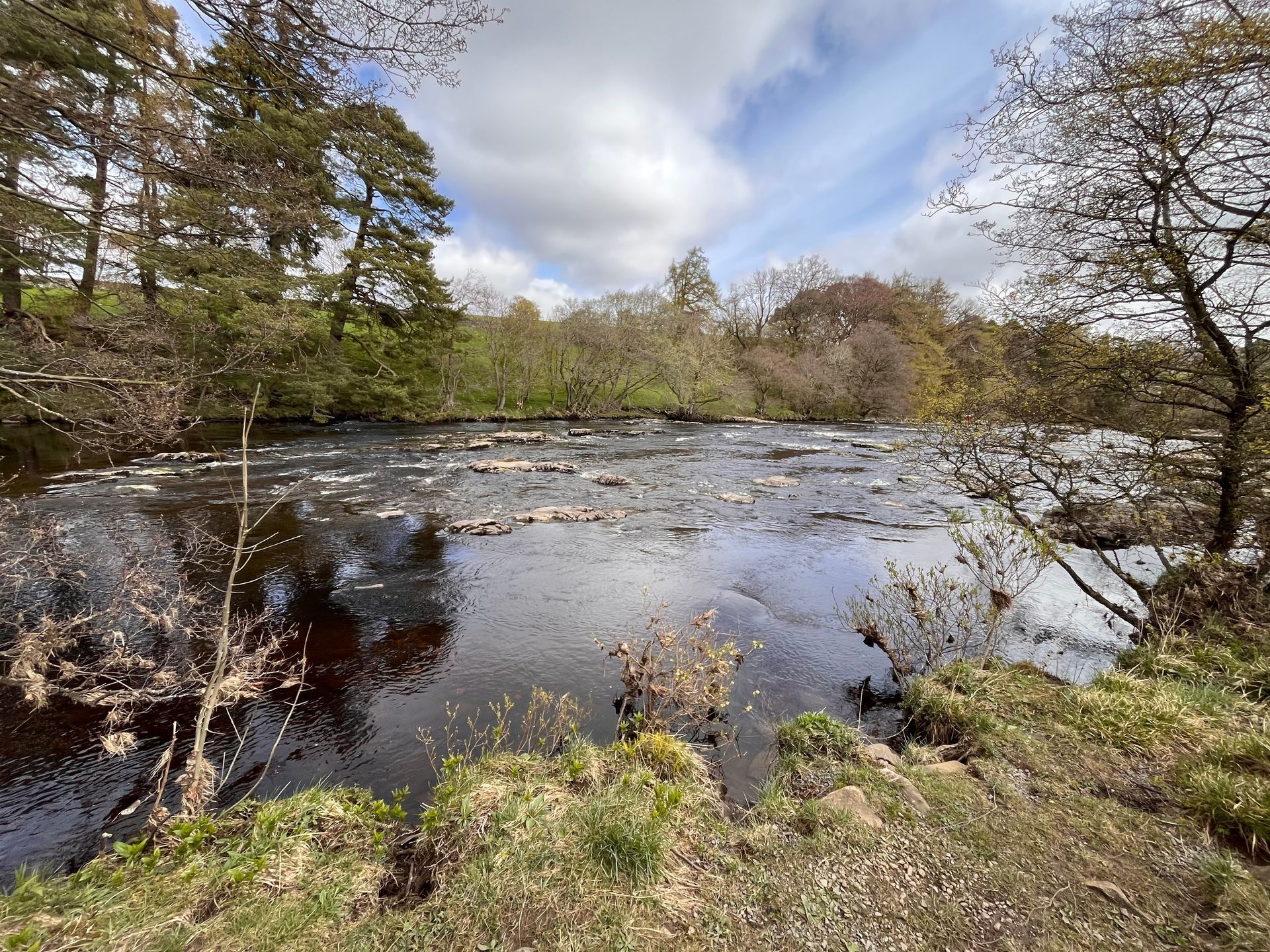 A scenic river flows past a grassy bank, with pine trees on the left and deciduous trees under a cloudy sky.