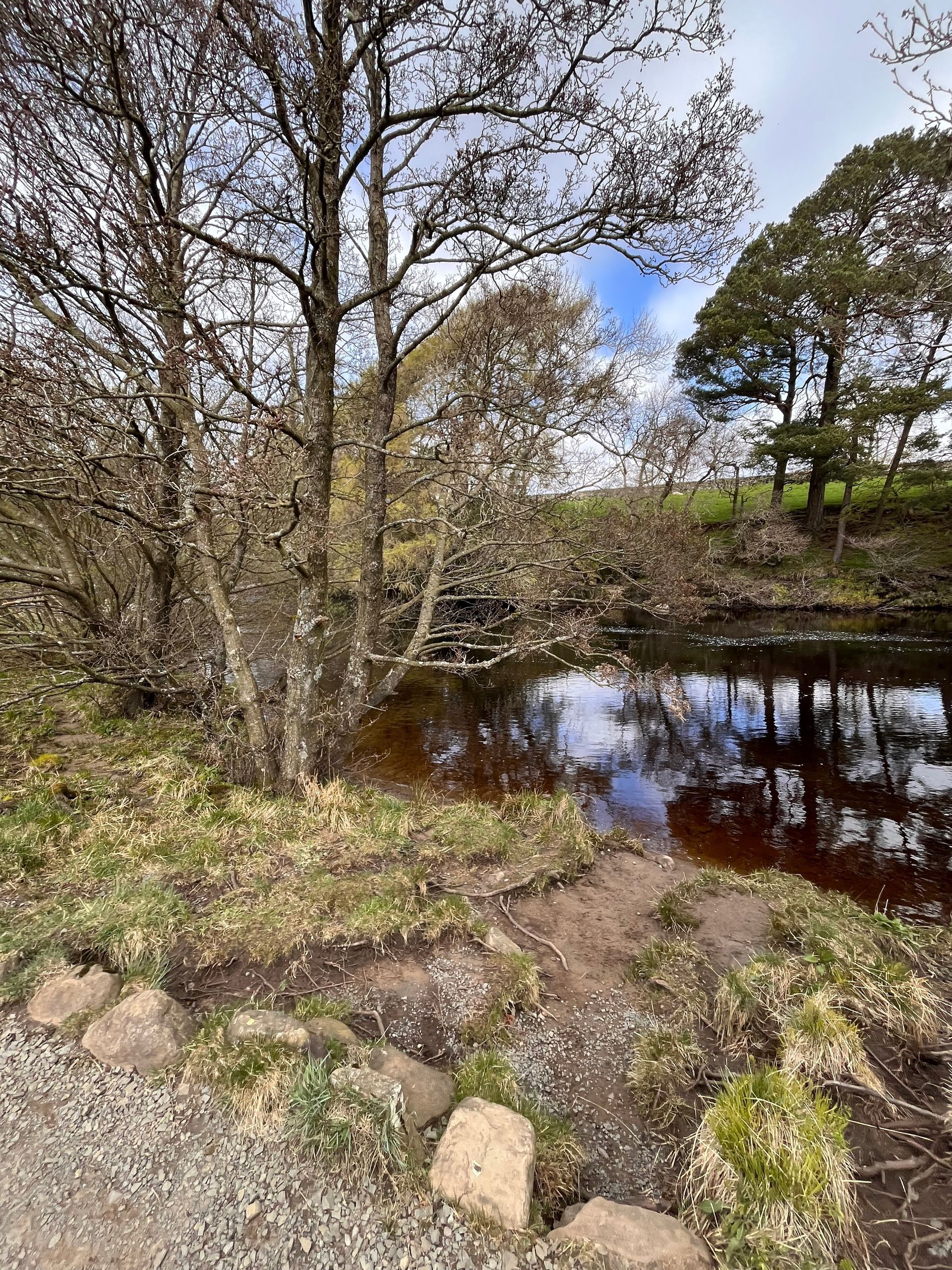 A serene pond reflects the sky and trees, surrounded by a gravel path and earthy terrain on a bright, cloudy day.