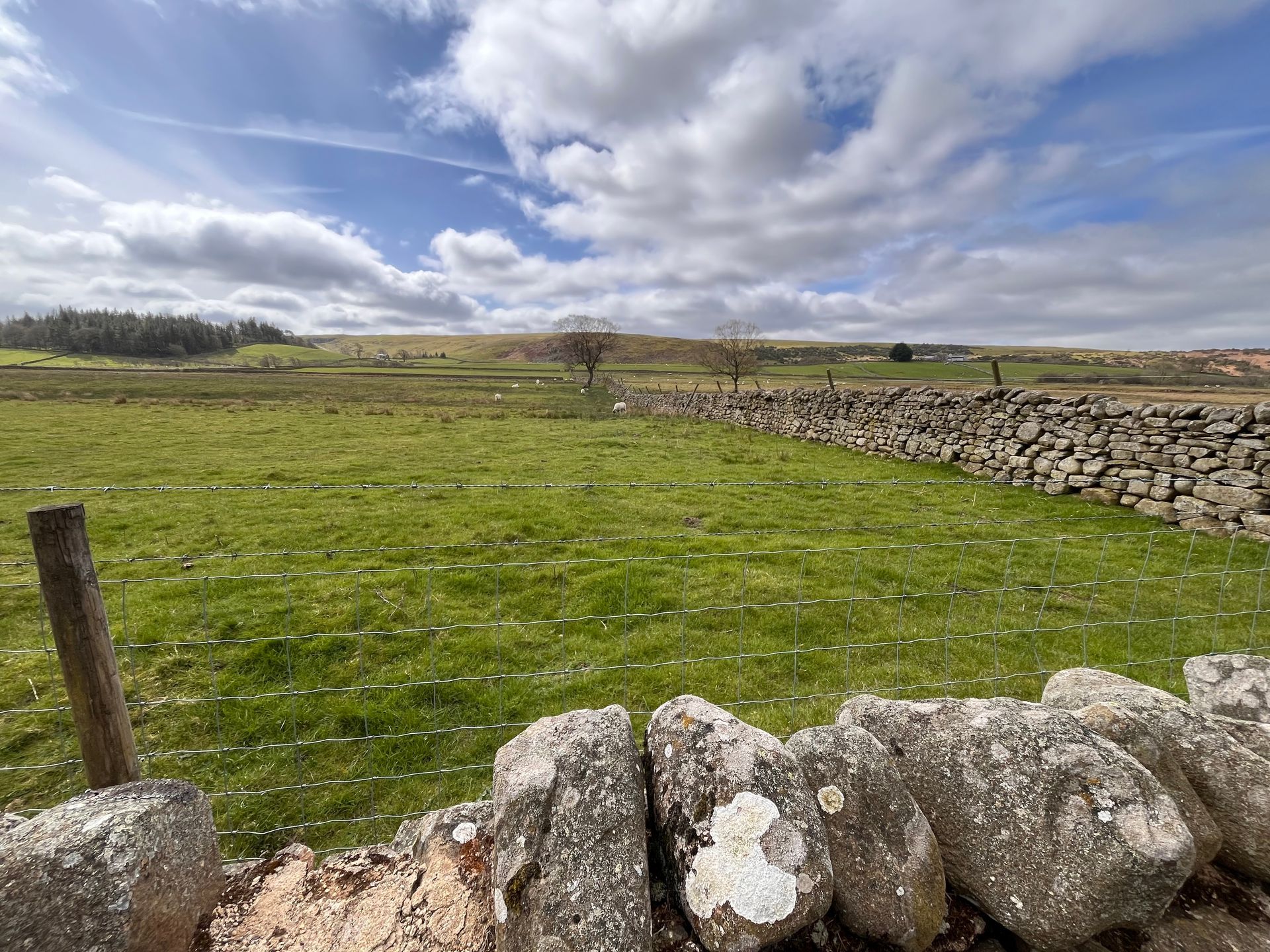 A stone wall separates a bright green pasture under a cloudy blue sky in a rural landscape.