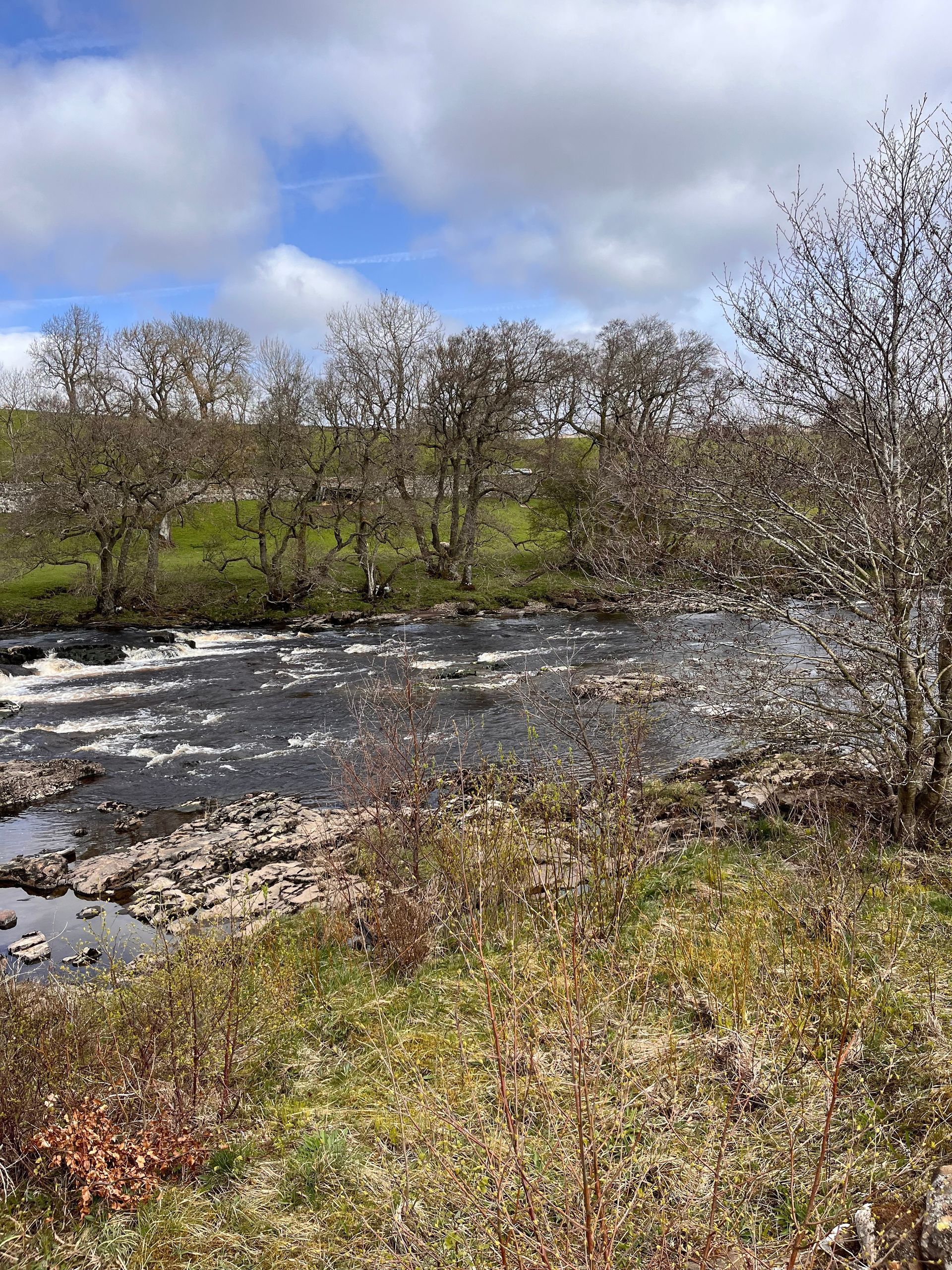 A river with rapids flows past a rocky bank and a line of bare trees under a bright blue sky with scattered clouds.