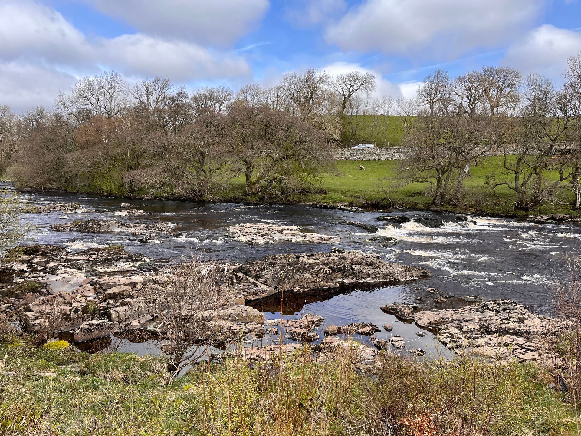A rocky river flows through a grassy, tree-lined landscape under a bright, partly cloudy sky.