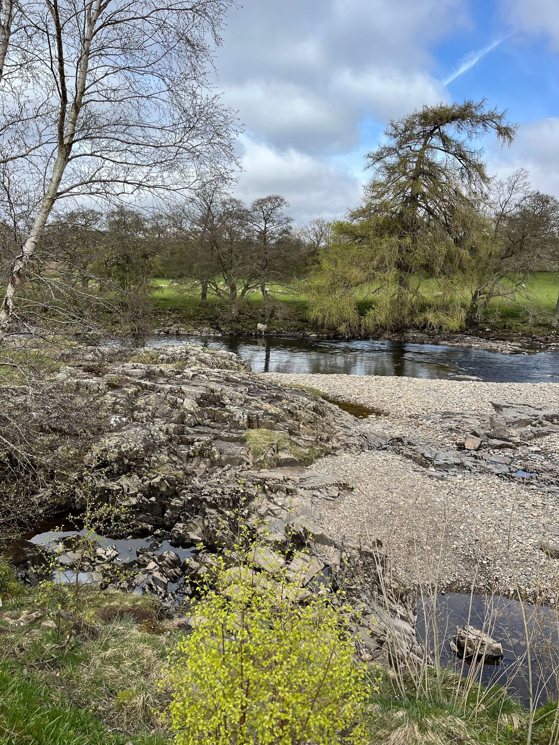 A rocky riverbank leading to a flowing stream, surrounded by trees under a partly cloudy sky.