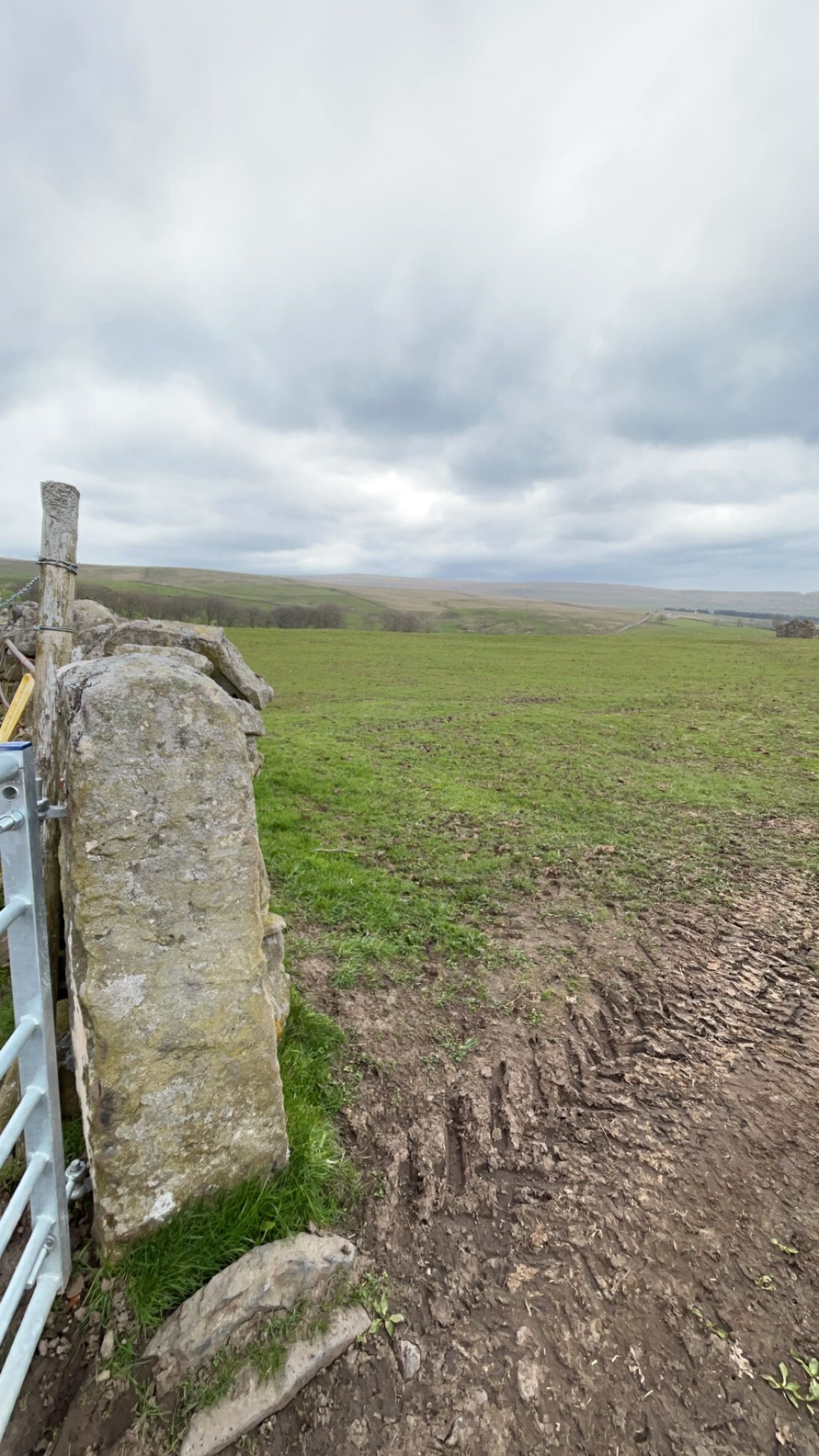 A stone gatepost stands next to a metal gate, opening onto a vast, green, muddy field under a cloudy, overcast sky.