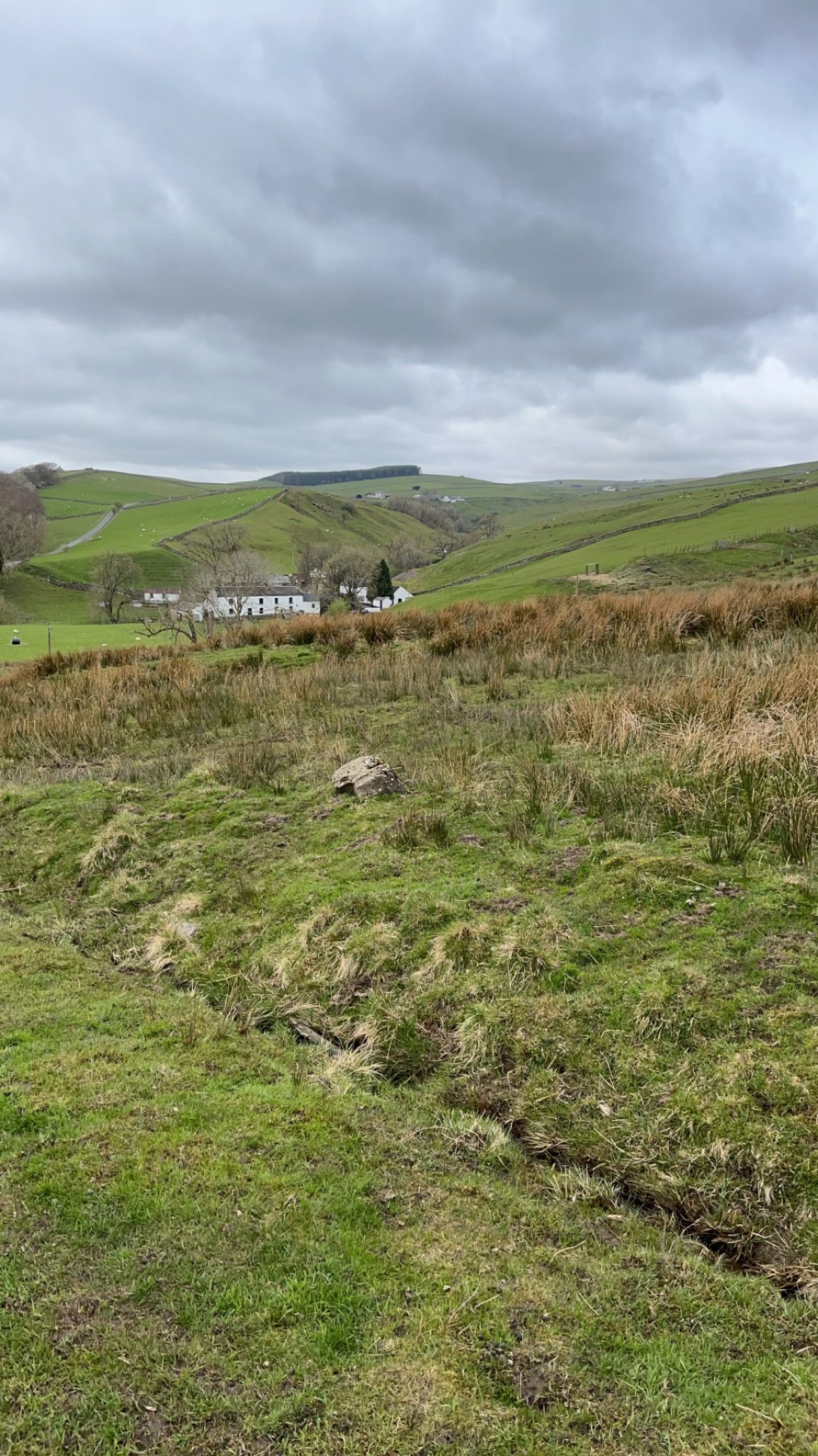 Rolling green hills under a cloudy sky with a white house nestled in the distant valley.
