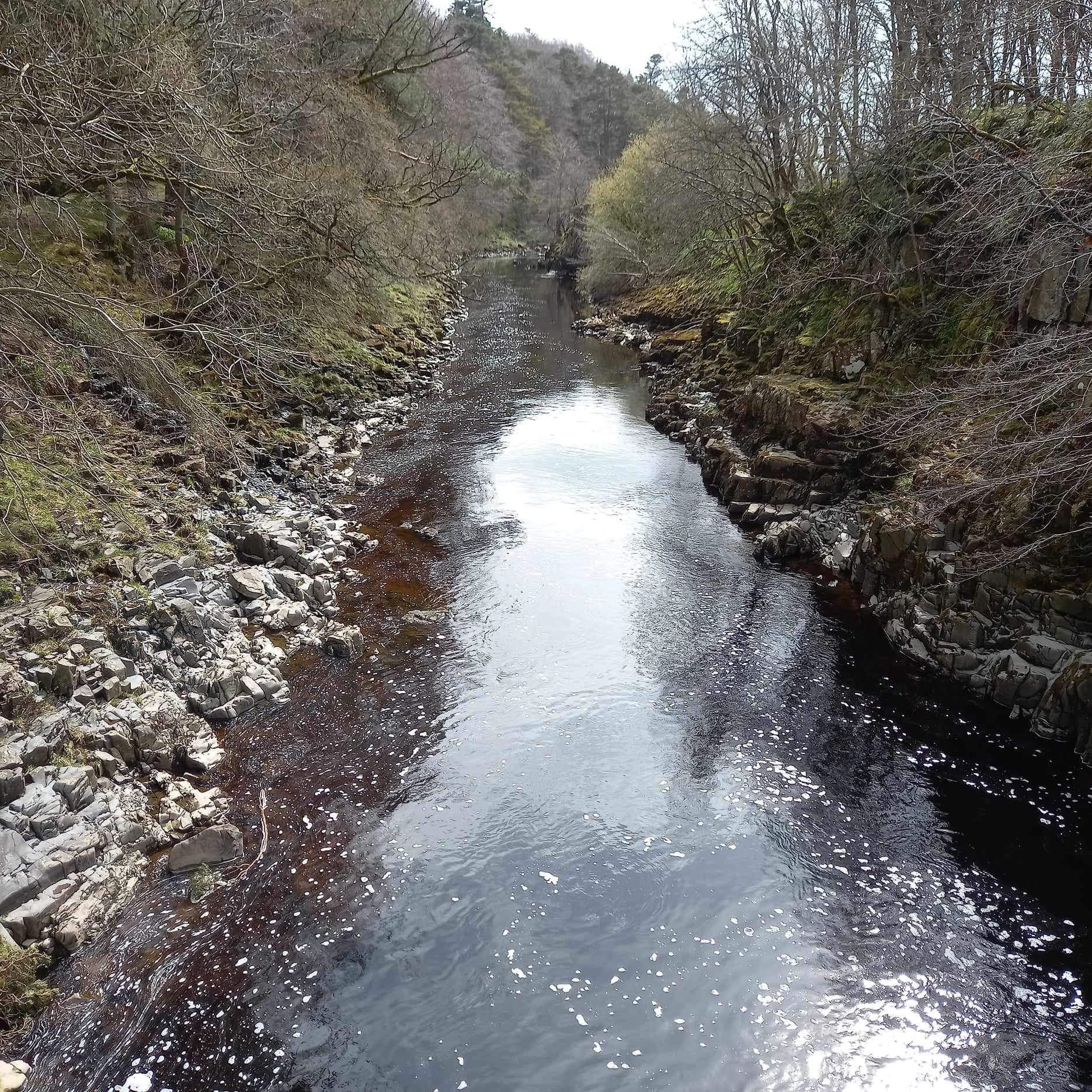 A dark, flowing stream centered between steep, rocky, tree-lined banks in a wooded area.