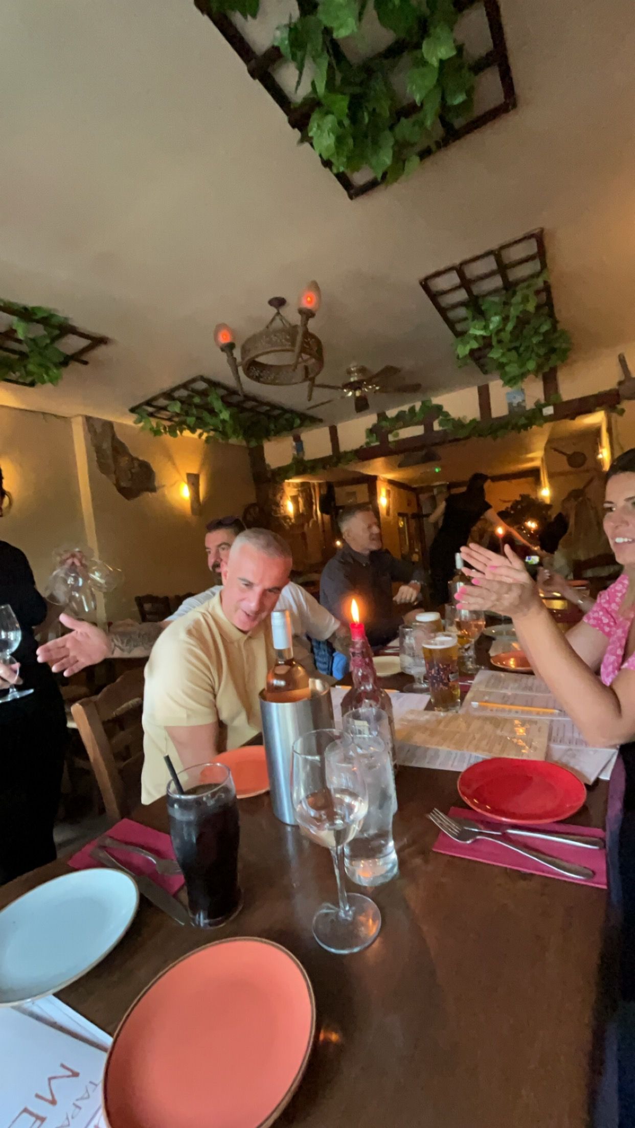 A group of people dining at a rustic table with a centerpiece, candlelight, and decorative greenery hanging overhead.