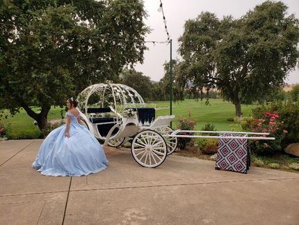 Funeral — Oakley, CA — Fancy Ferriage by Horse and Carriage