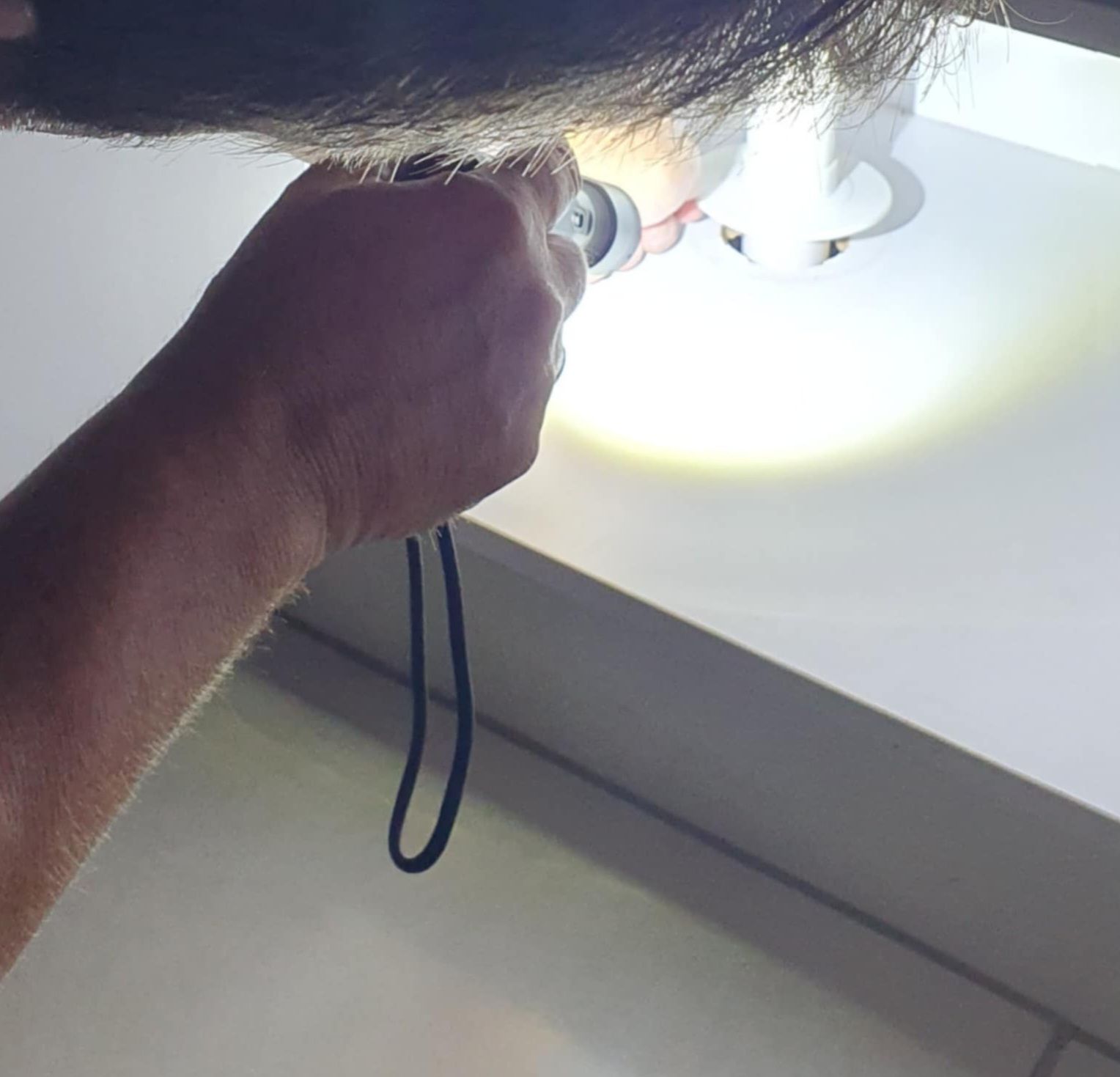 Best Pest Control & Home Services 