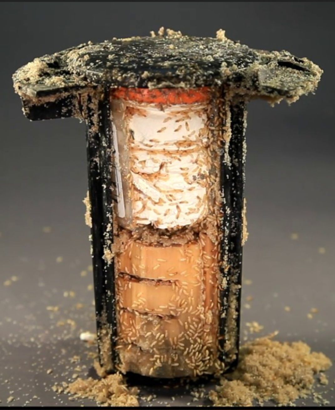 A close up of the inside of a dirty object