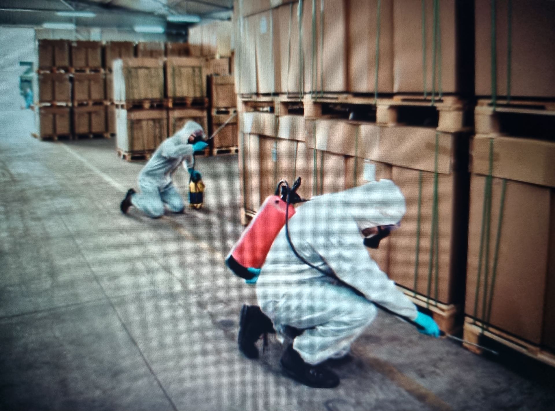 Best Pest Control & Home Services 