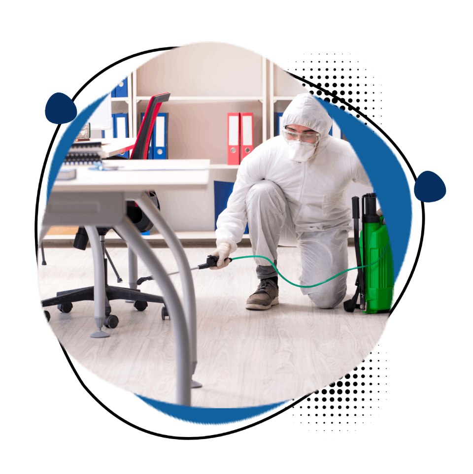 Best Pest Control & Home Services 