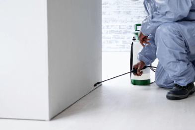 Best Pest Control & Home Services 