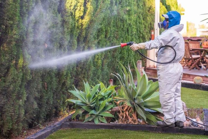 Best Pest Control & Home Services 