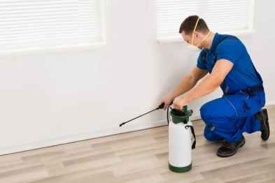 Best Pest Control & Home Services 