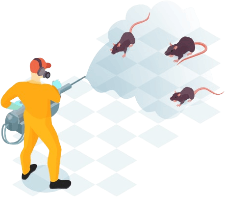 Best Pest Control & Home Services 