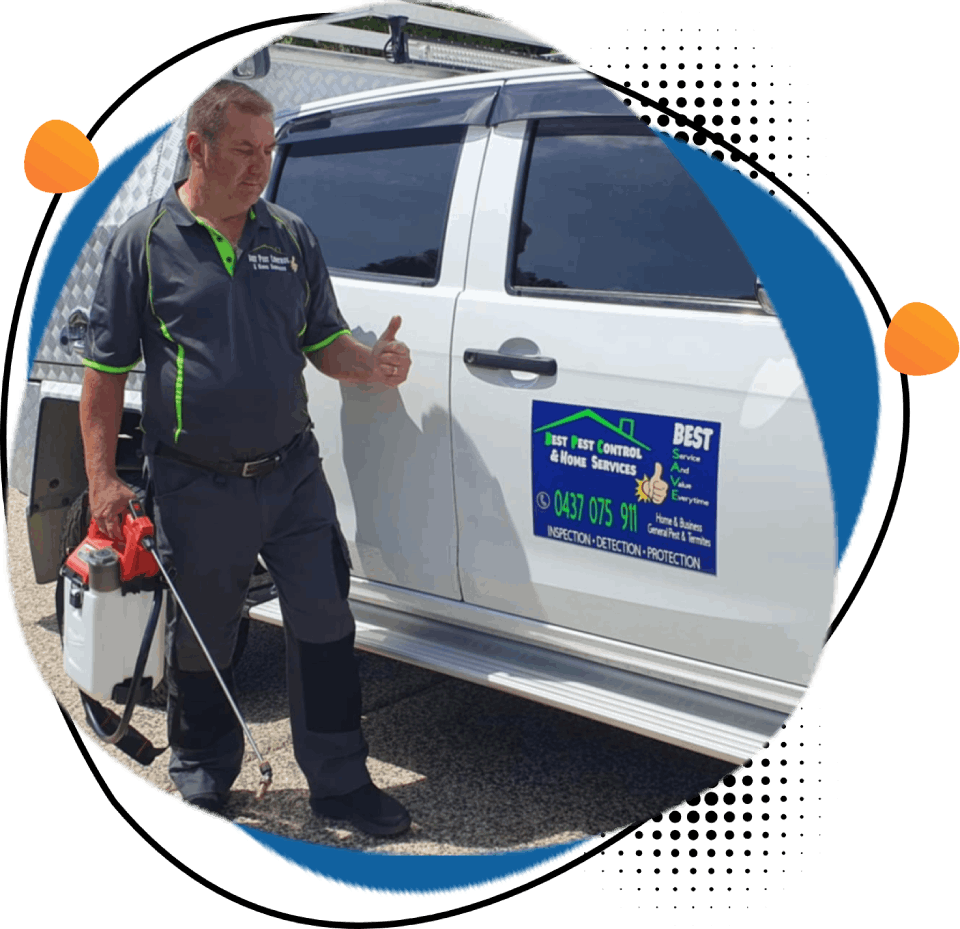 Best Pest Control & Home Services 