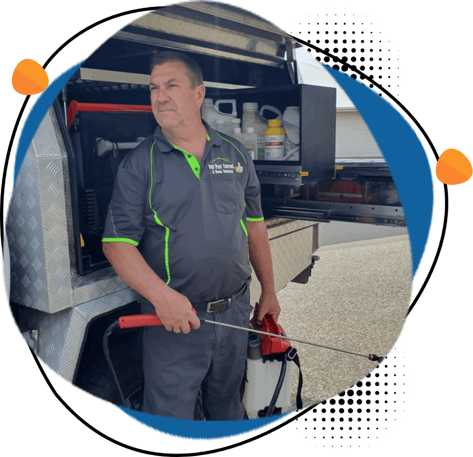 Best Pest Control & Home Services 