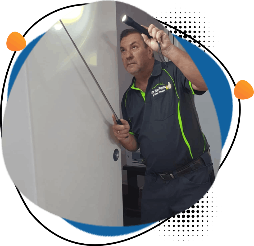 Best Pest Control & Home Services 