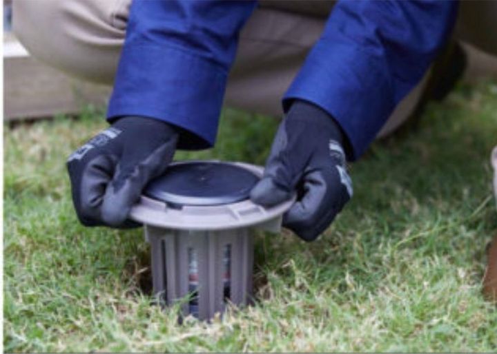 Best Pest Control & Home Services 