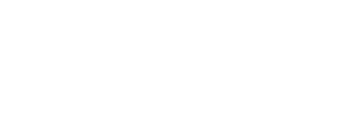 Nouveau Health & Wellness logo