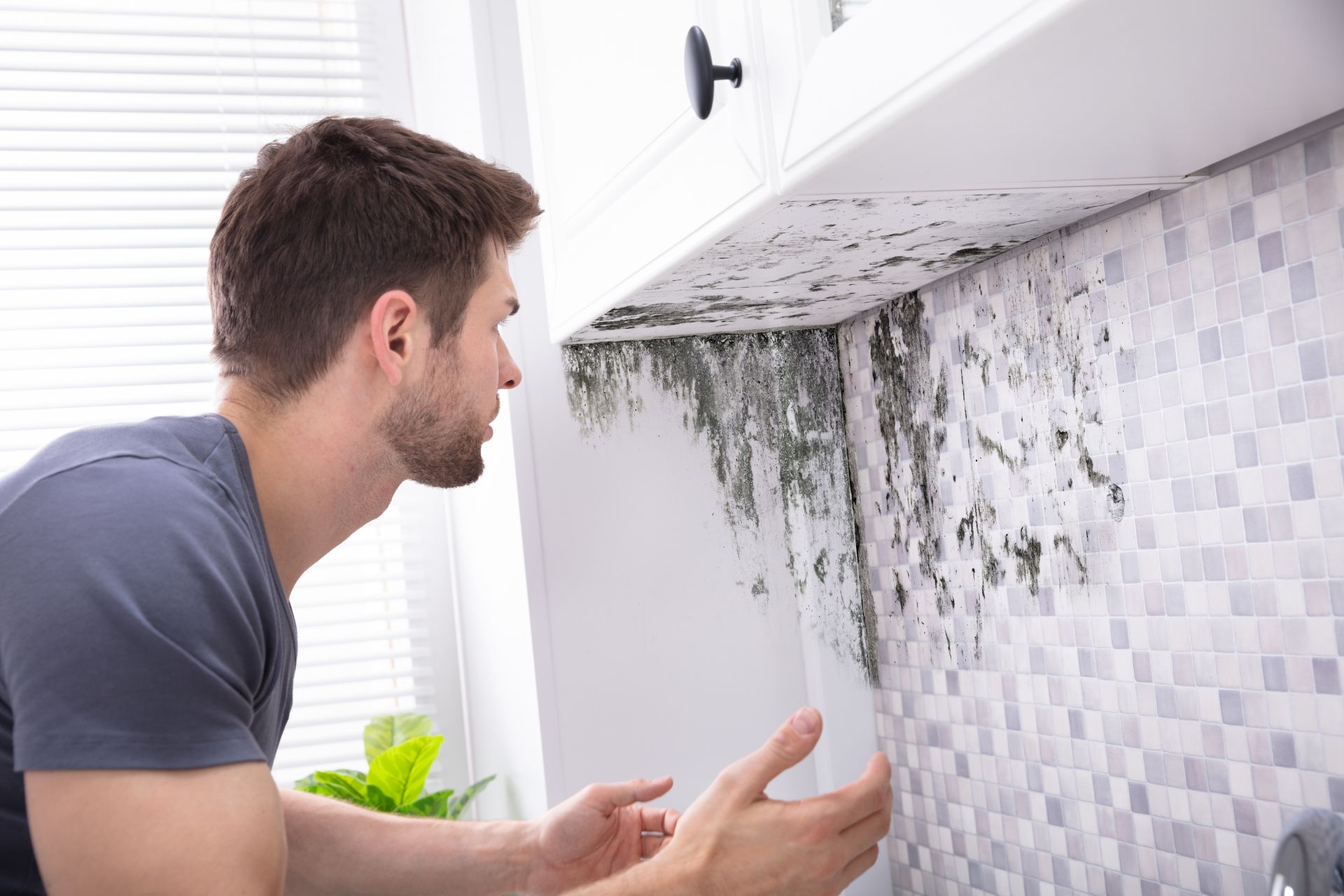 Molds In Wall — Morgantown, WV — TDS Home Inspections LLC