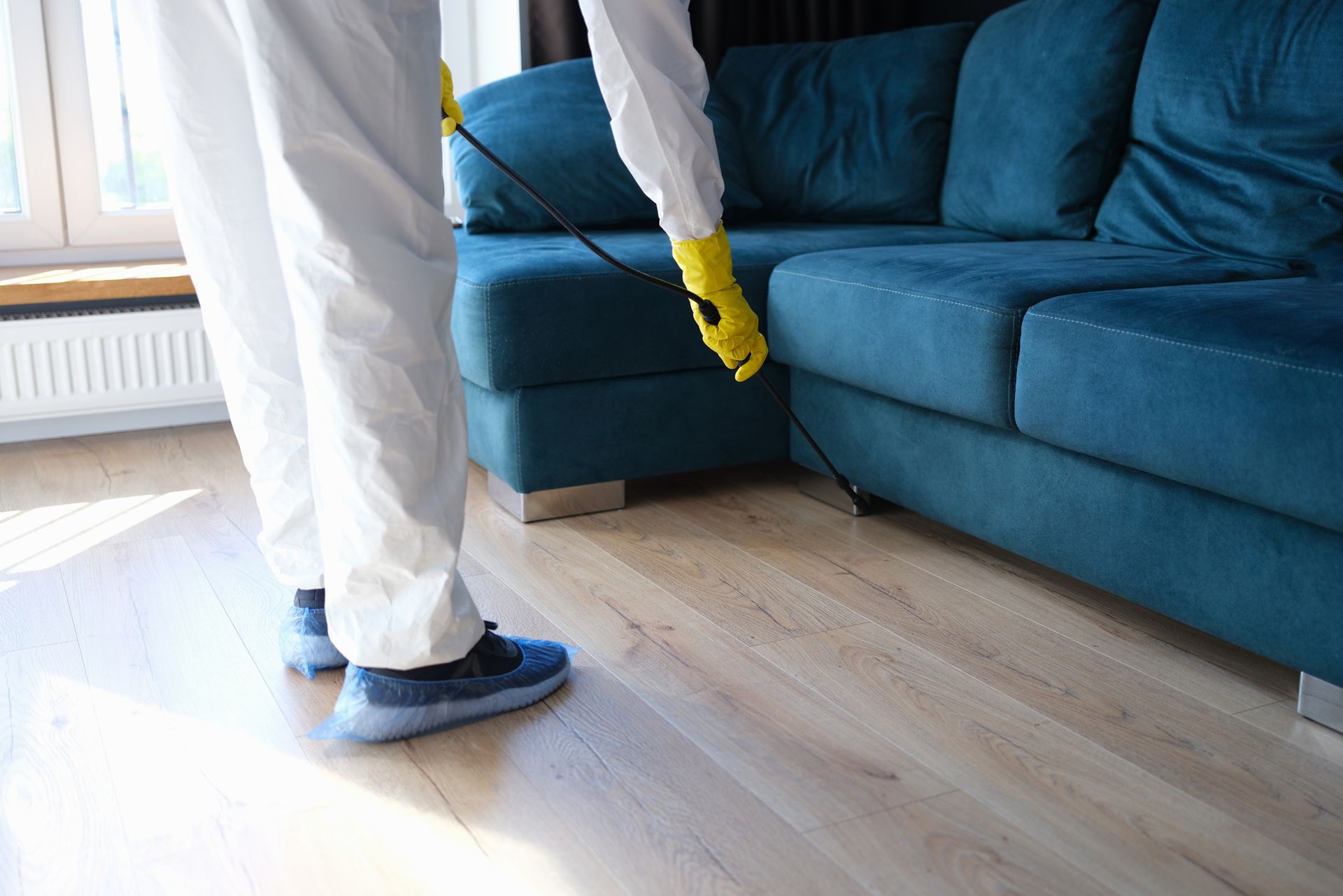 Pest Inspection Team — Morgantown, WV — TDS Home Inspections LLC