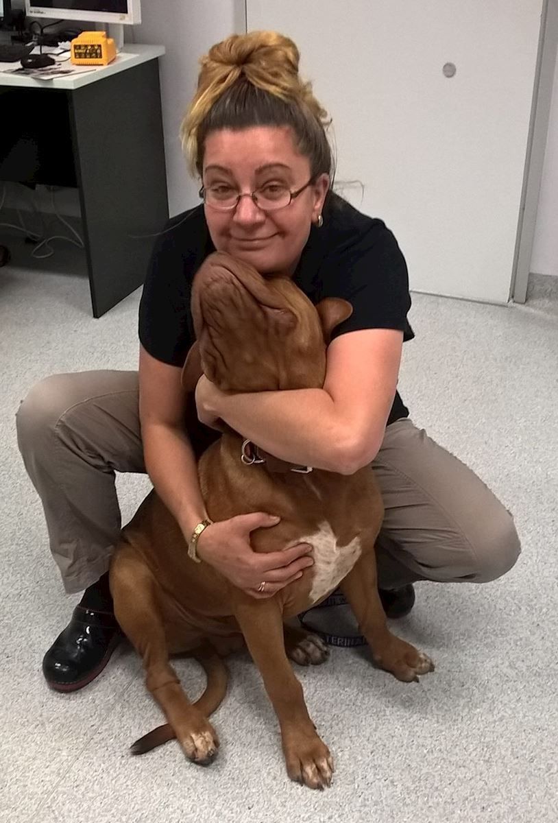 A woman is kneeling down and hugging a brown dog