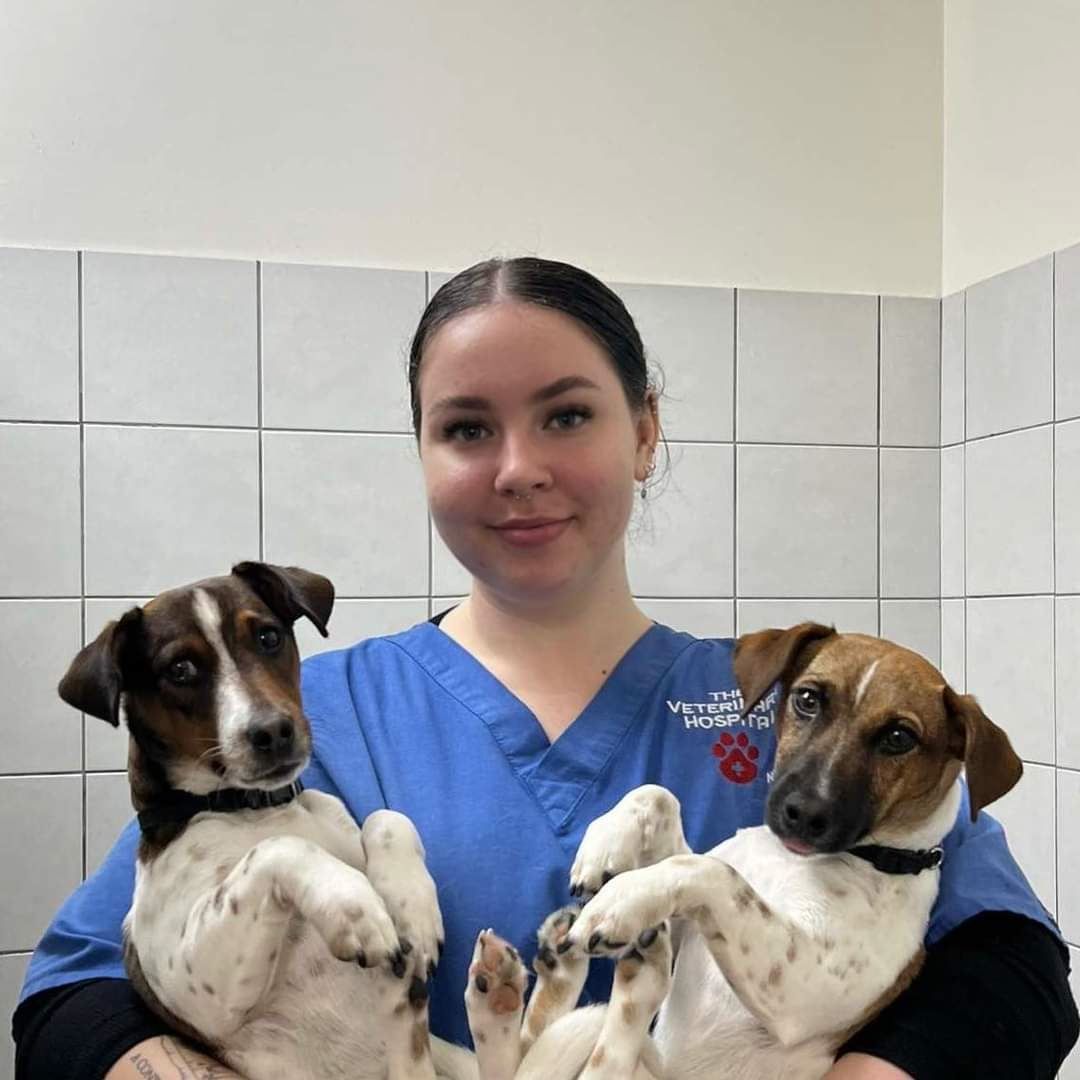 A woman in a blue scrub top is holding two dogs