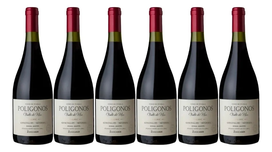 Polígonos del Valle de Uco Gualtallary Malbec Caja de 6 Botellas de 750cc