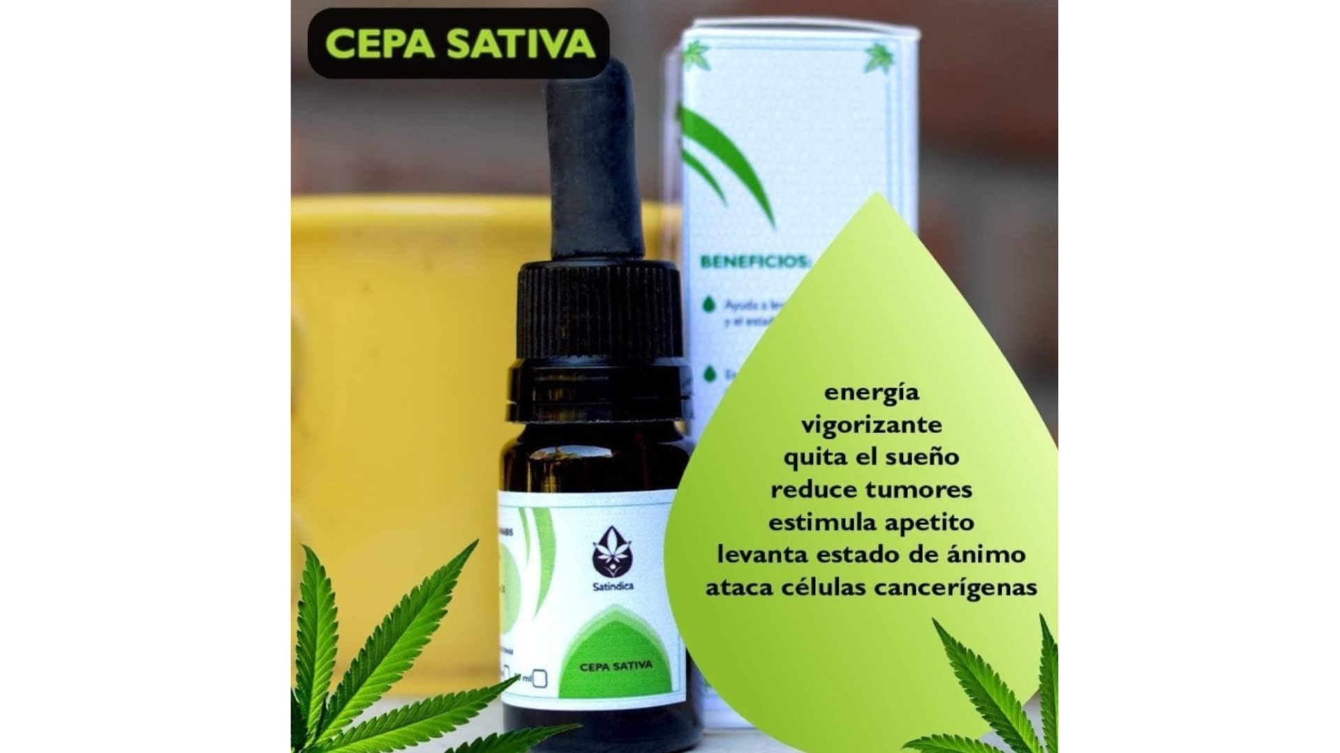 Botella de aceite de variedad Sativa con etiqueta de hoja verde
