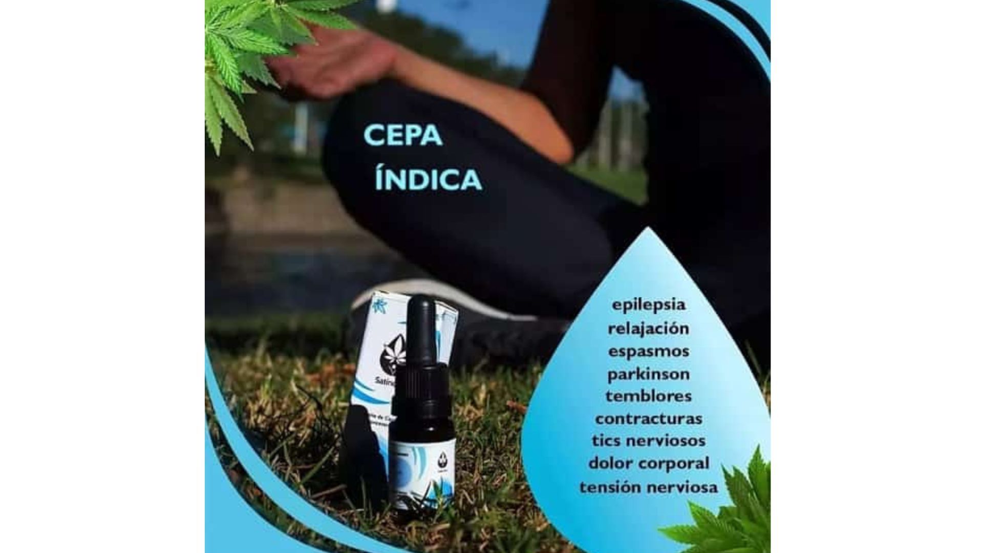 Una persona con una botella de aceite de la variedad índica. 