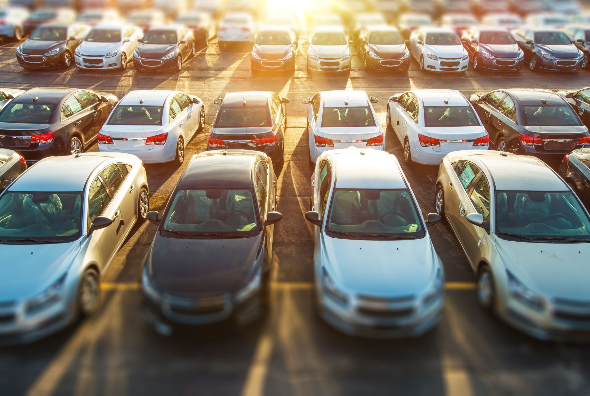 File di auto parcheggiate in un parcheggio con il sole che splende luminoso sullo sfondo.
