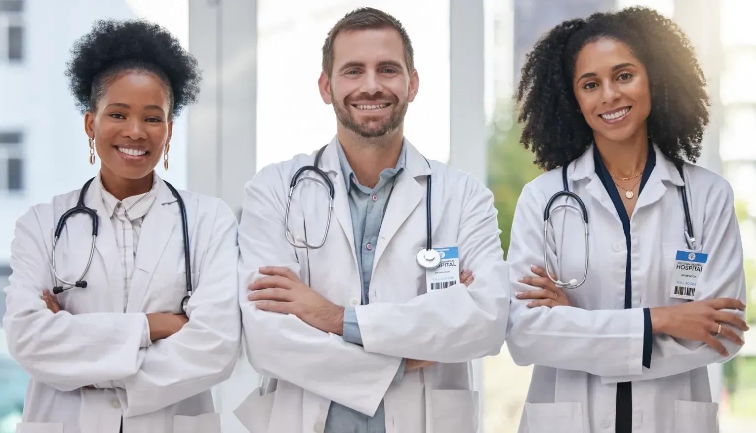 Professores renomados