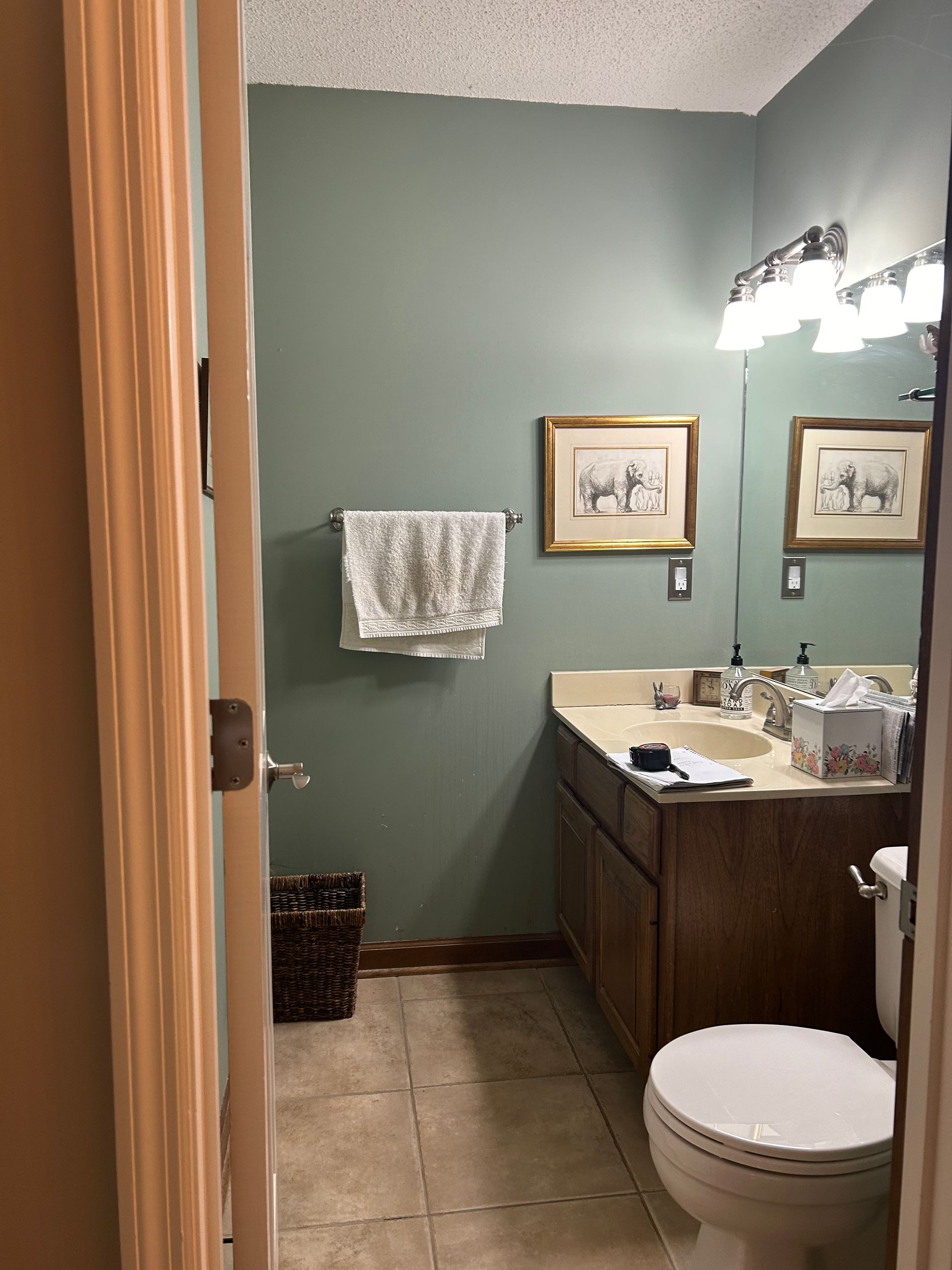 Bathroom with blue floral wallpaper, bathtub, vanity mirror, and carpeted floor; vase of red flowers on the tub.